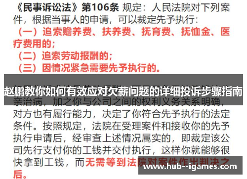 赵鹏教你如何有效应对欠薪问题的详细投诉步骤指南