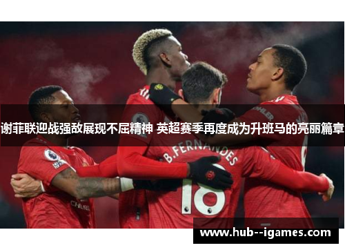 谢菲联迎战强敌展现不屈精神 英超赛季再度成为升班马的亮丽篇章