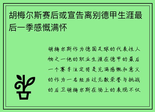 胡梅尔斯赛后或宣告离别德甲生涯最后一季感慨满怀